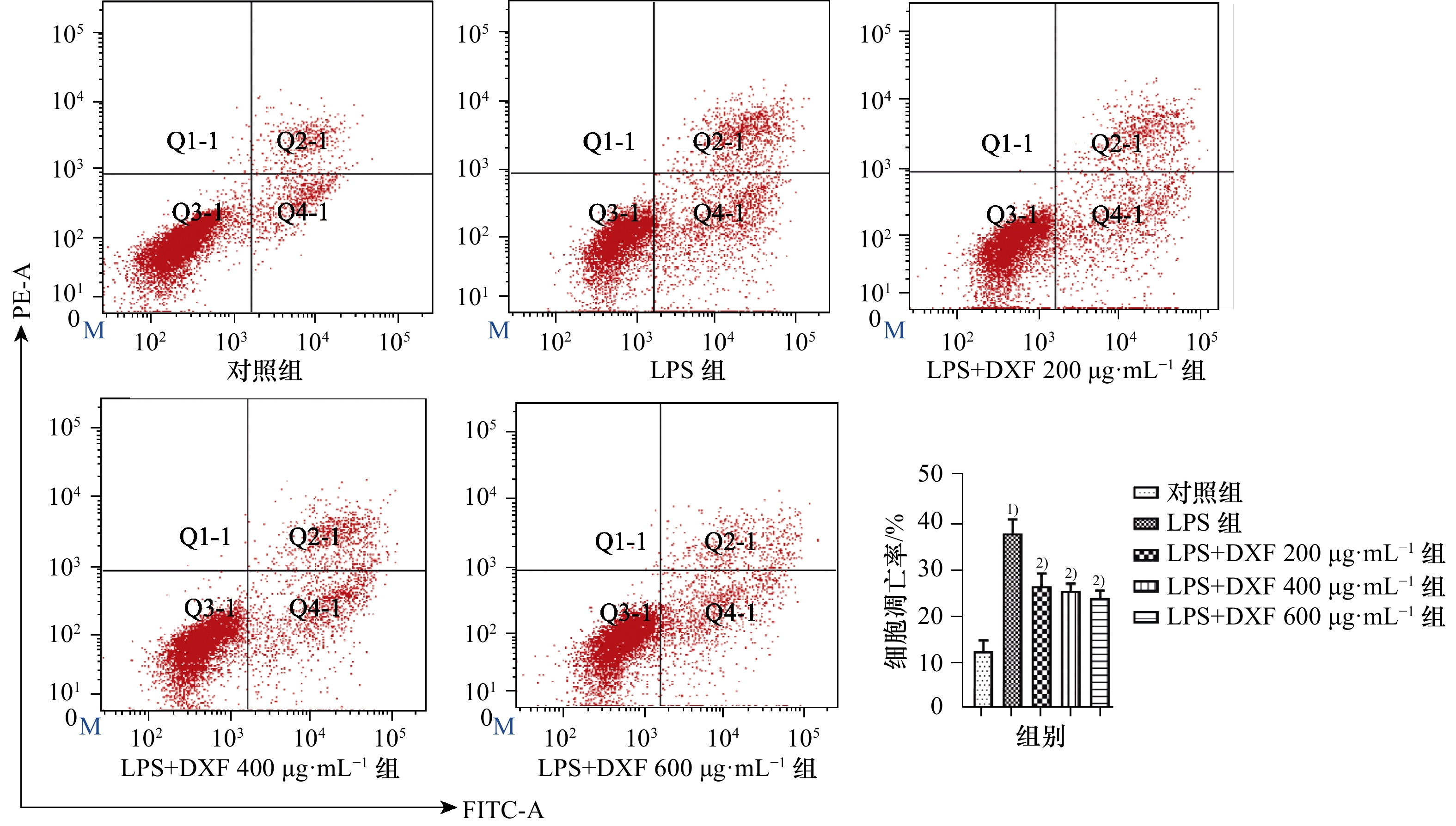 流式细胞术检测不同浓度大泻肺汤对肺上皮细胞凋亡的影响($ bar x pm s $, n=3)