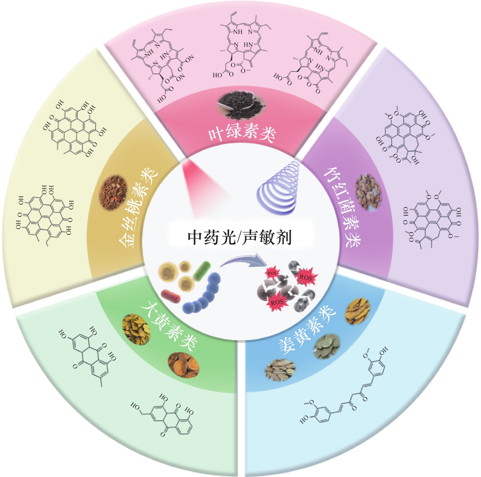 中药光敏剂和声敏剂在抗菌领域的研究进展
