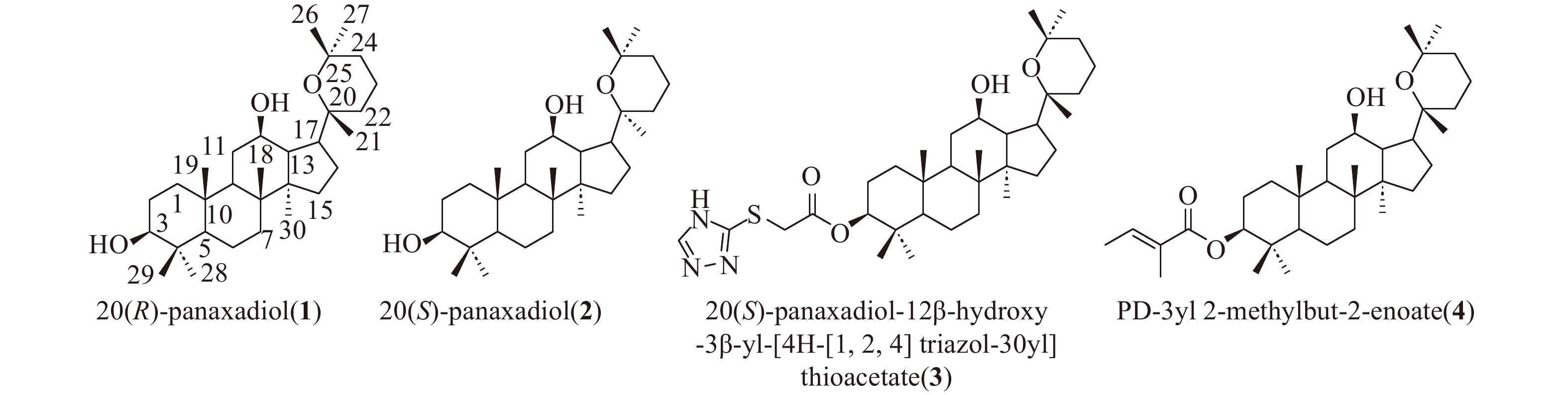 人参二醇衍生物的合成及其细胞毒活性研究